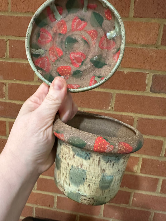 Strawberry Picnic Planter with Catch Plate