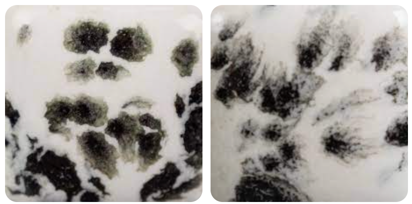 PreOrder: Custom Novel-Tea CHOOSE YOUR HOBBY Mug