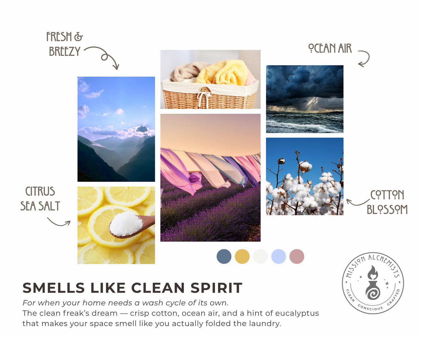 Diffuser Oils for Reed Bottles & Car Fresheners (You Choose)