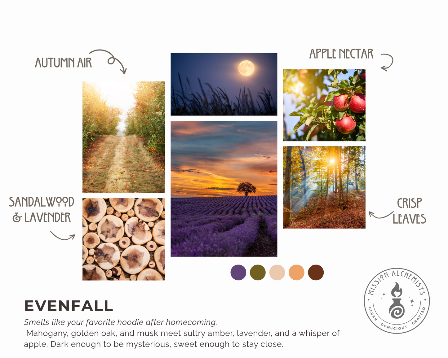 Diffuser Oils for Reed Bottles & Car Fresheners (You Choose)