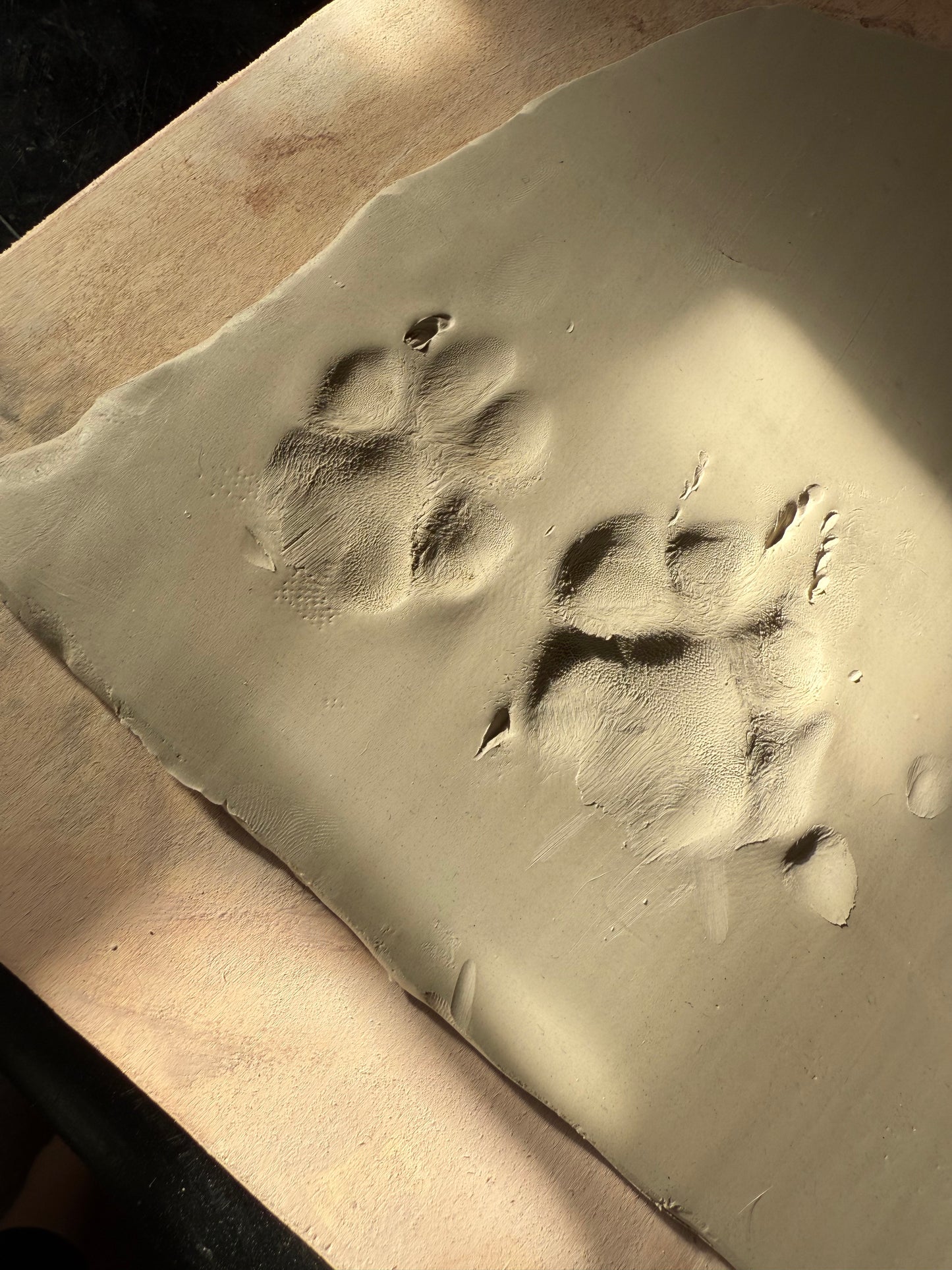 Workshop: Paw Print Open House