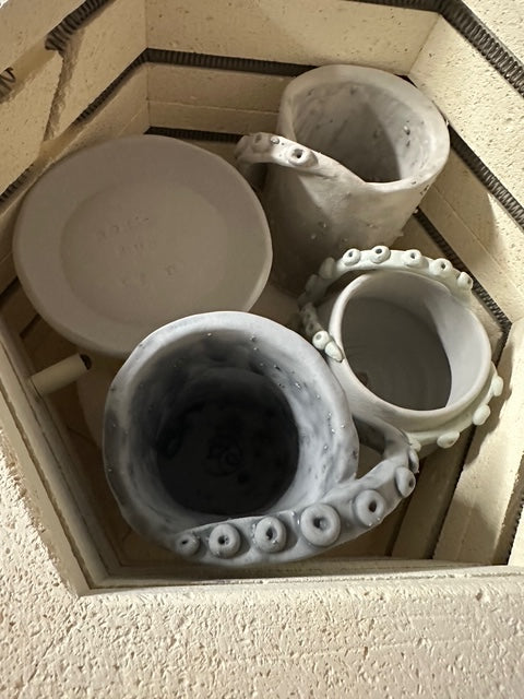 Kiln Share - Bisque (whole shelf pricing)