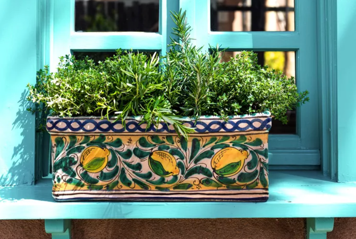 Workshop: Ceramic Planter & Markers