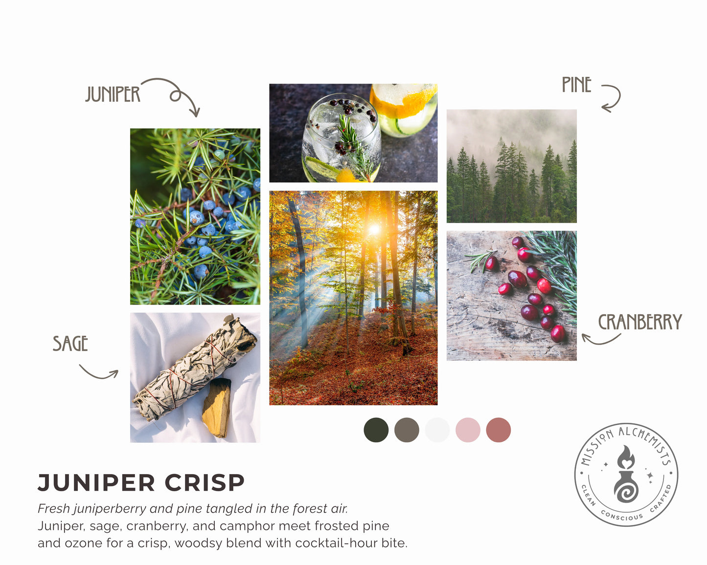 Juniper Crisp Candles
