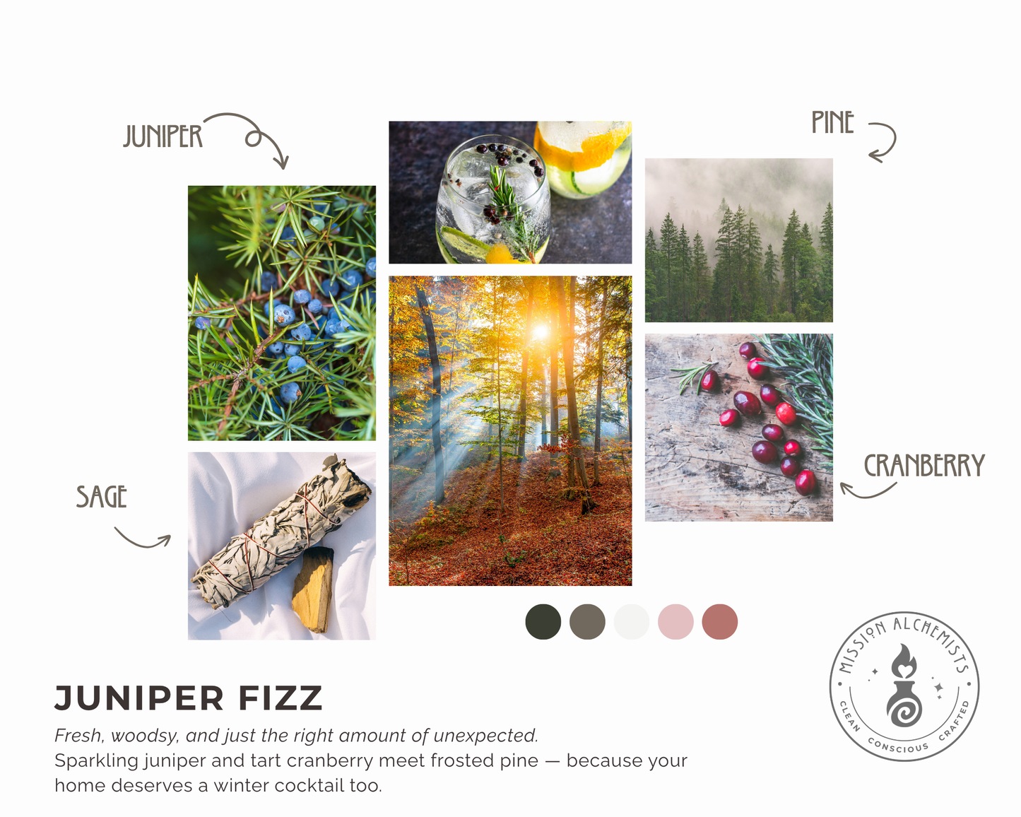 Juniper Fizz Candles