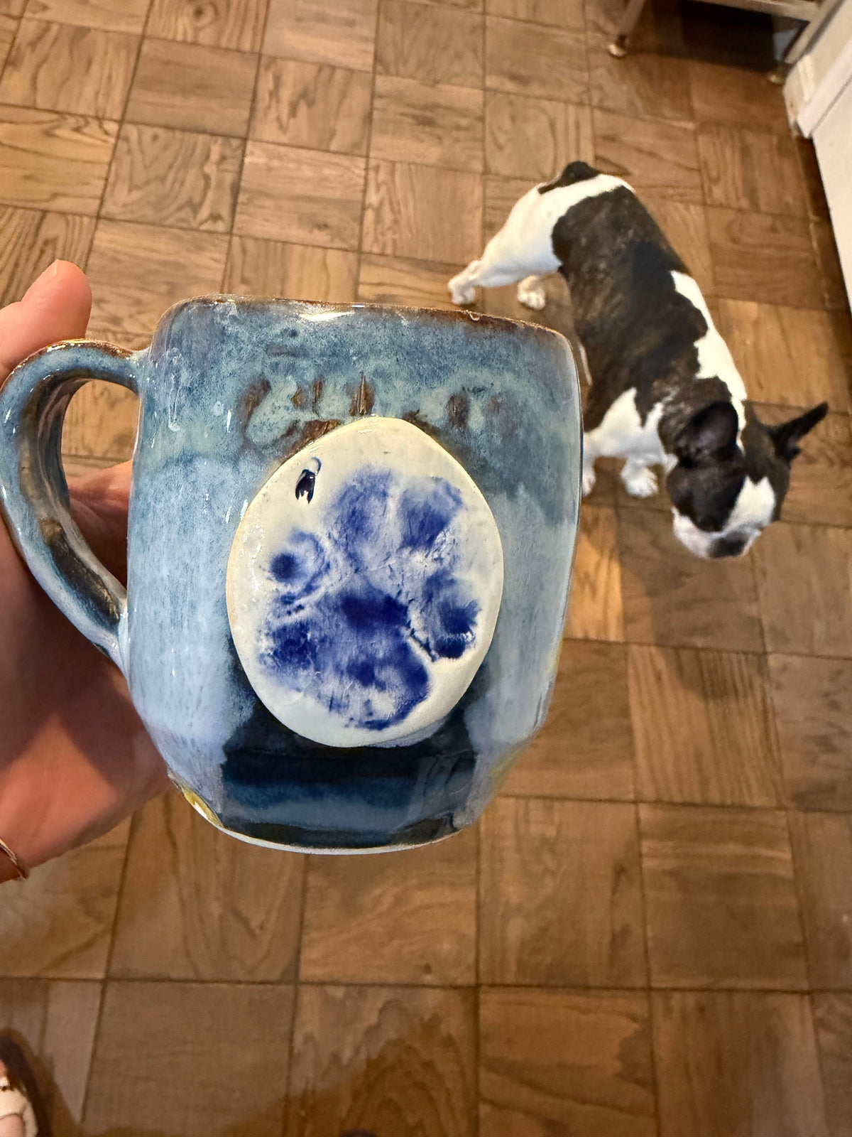 Workshop: Paw Print Open House