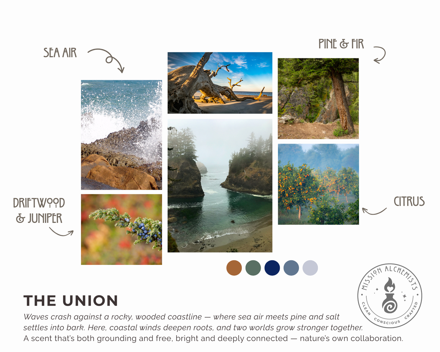 Diffuser Oils for Reed Bottles & Car Fresheners (You Choose)